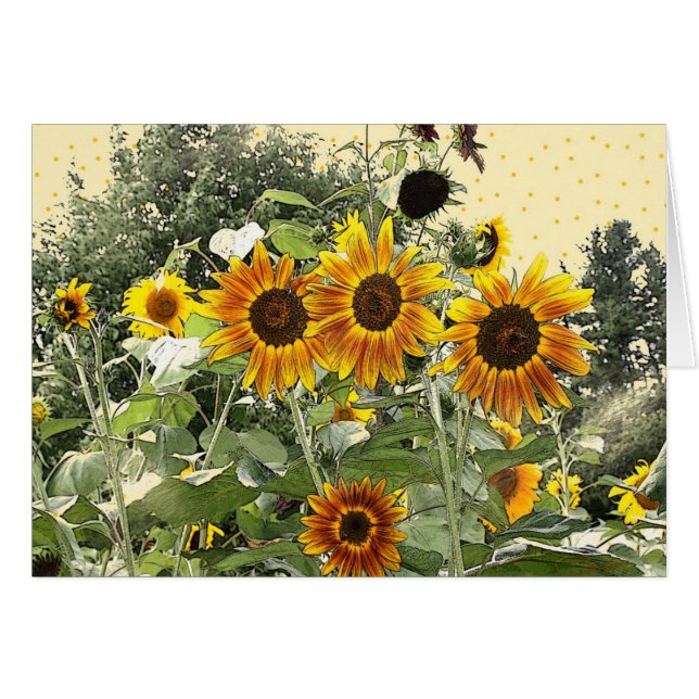 Sonnenblumenkarten (Vorderseite (Horizontal))
