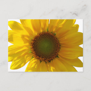 Sonnenblumenkerne Personalisiert Einladung
