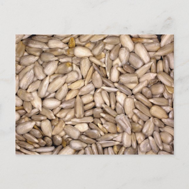 Sonnenblumenkerne Postkarte (Vorderseite)