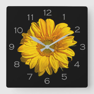 Sonnenblumenkerne Quadratische Wanduhr