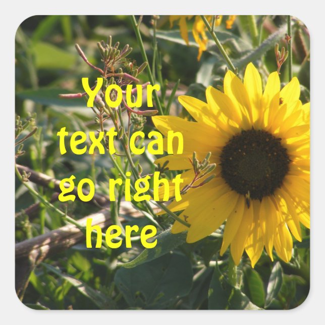 Sonnenblumenkleber Quadratischer Aufkleber (Vorderseite)