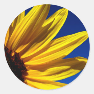 Sonnenblumenkleber Runder Aufkleber