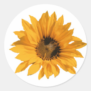 Sonnenblumenkleber Runder Aufkleber