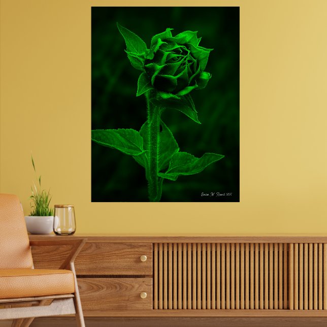 "Sonnenblumenknospe"  Poster (Wohnzimmer 2)