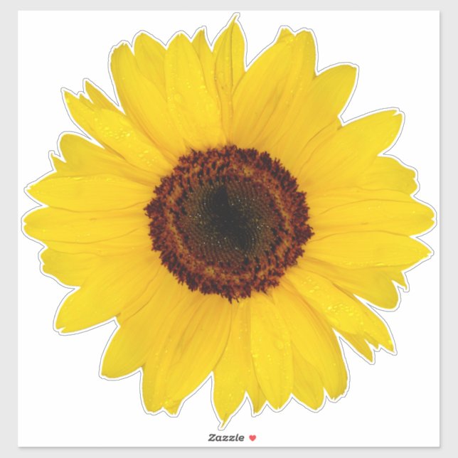 Sonnenblumenkontraktkleber Aufkleber (Blatt)