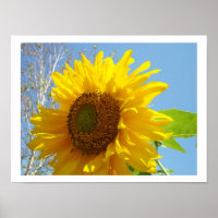 Sonnenblumenkunst druckt Bright Summer Yellow Flor