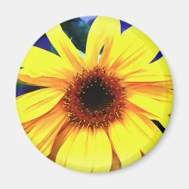 Sonnenblumenmagazin Magnet