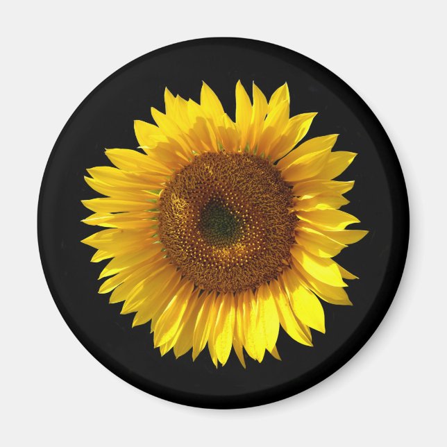 Sonnenblumenmagnet Magnet (Vorne)