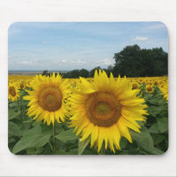 Sonnenblumenmousepad