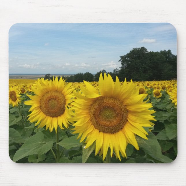 Sonnenblumenmousepad Mousepad (Vorne)