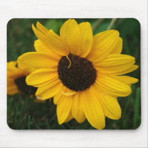 Sonnenblumenmousepad Mousepad