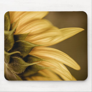 Sonnenblumenmousepad Mousepad