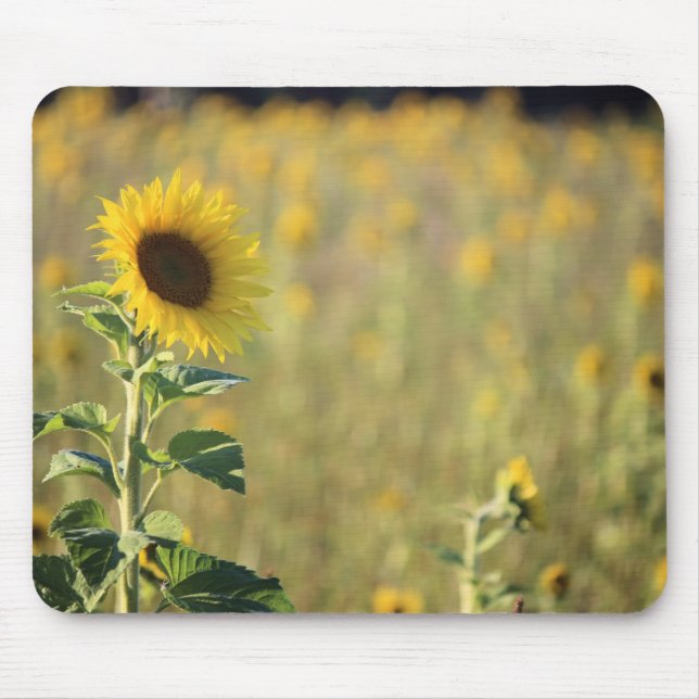 Sonnenblumenmousepad Mousepad (Vorne)