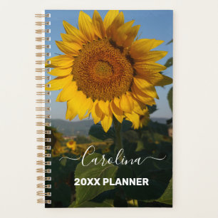 Sonnenblumenname Foto Planer