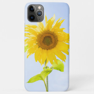 Sonnenblumennatur-Foto Case-Mate iPhone Hülle