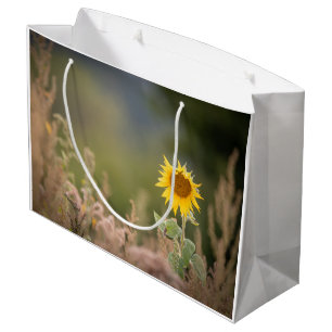 Sonnenblumennatur-Foto Große Geschenktüte