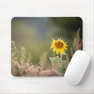 Sonnenblumennatur-Foto Mousepad