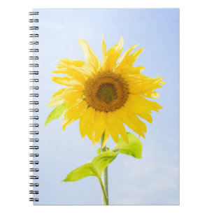 Sonnenblumennatur-Foto Notizblock