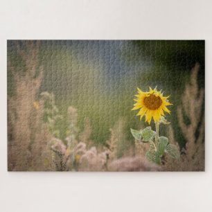 Sonnenblumennatur-Foto Puzzle