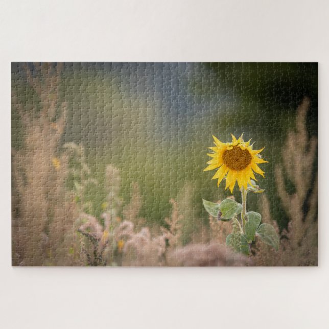 Sonnenblumennatur-Foto Puzzle (Horizontal)