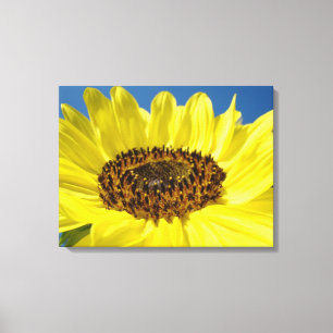 Sonnenblumenpaneel-Leinwandkunst Verpackte Leinwän Leinwanddruck