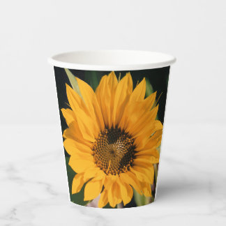 Sonnenblumenpapierkups Pappbecher