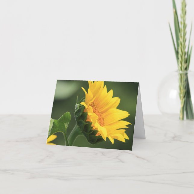 Sonnenblumenportrait 2 Note Card Dankeskarte (Vorderseite)