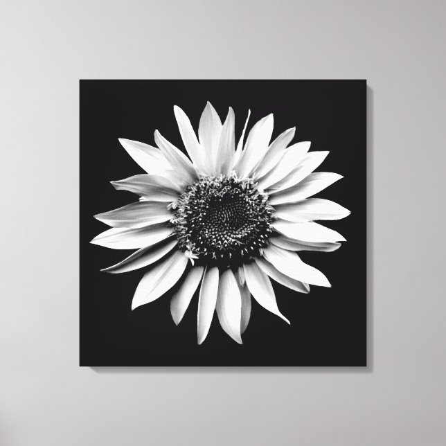 'Sonnenblumenportrait' gepackte Canvas Print Leinwanddruck (Vorderseite)
