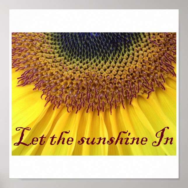Sonnenblumenposter Poster (Vorne)