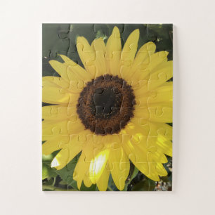 Sonnenblumenpuzzle Puzzle