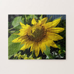 Sonnenblumenrätsel Puzzle