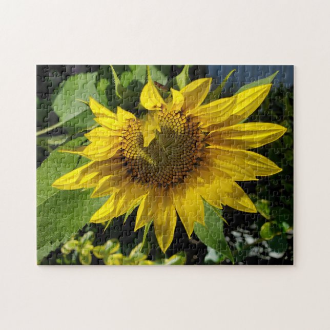 Sonnenblumenrätsel Puzzle (Horizontal)