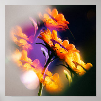 Sonnenblumenreflexion Poster