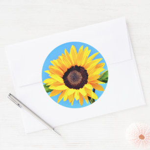 Sonnenblumensticker Blue Sky Runder Aufkleber