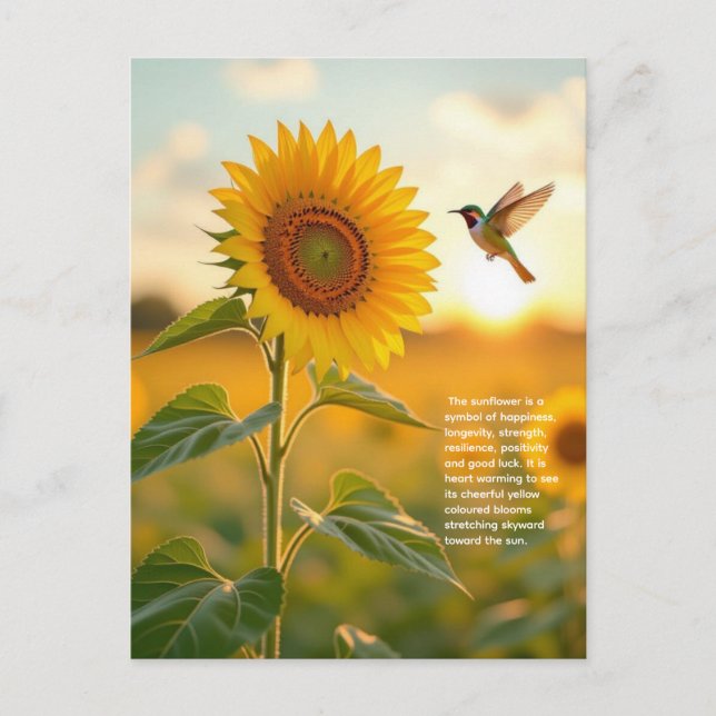 Sonnenblumensymbolik Postkarte (Vorderseite)