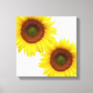 Sonnenblumenübergang Canvas Platz Leinwanddruck