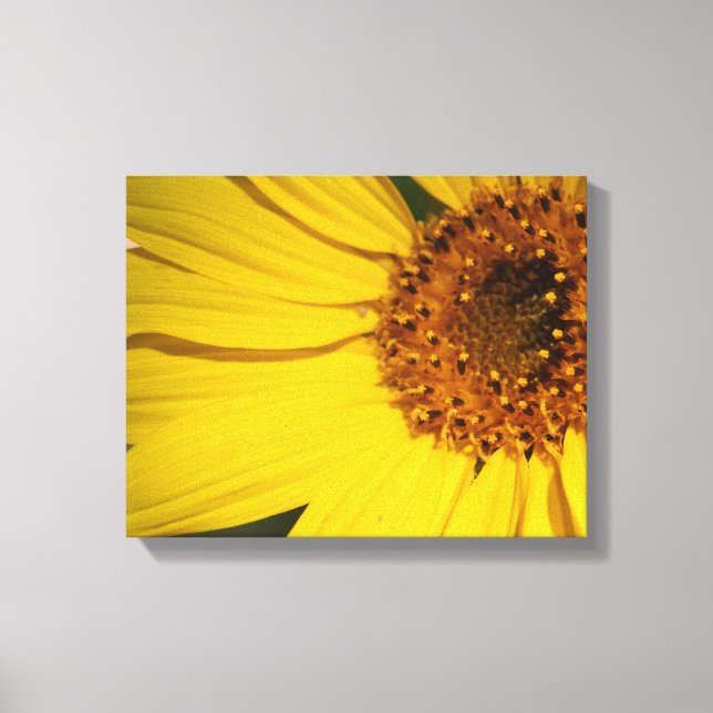 Sonnenblumenüberwurf Leinwanddruck (Vorderseite)