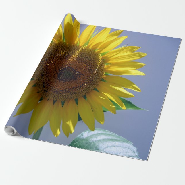 Sonnenblumenüberzugspapier Geschenkpapier (Ungerollt)
