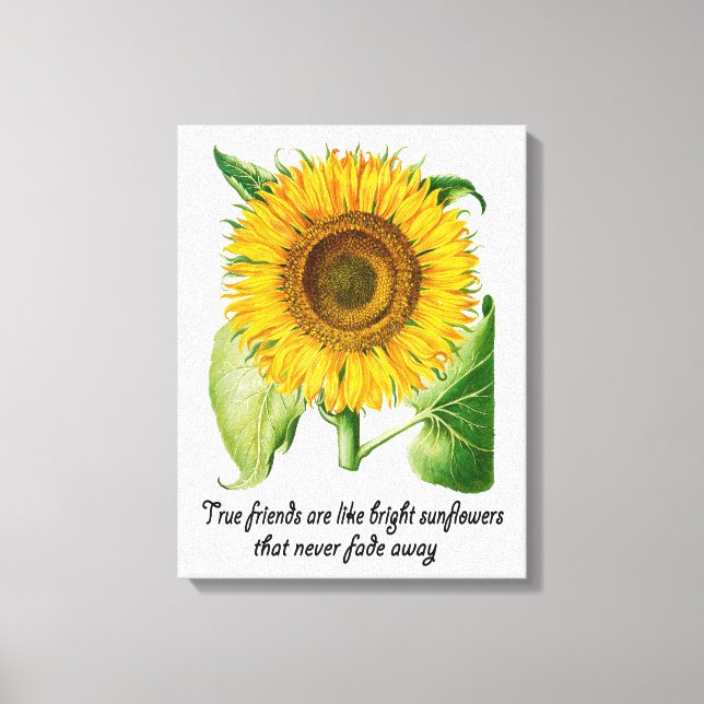 Sonnenblumenwall Art Canvas Print Blume Friend Ges Leinwanddruck (Vorderseite)