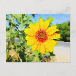 Sonnenblumenwasser Postkarte