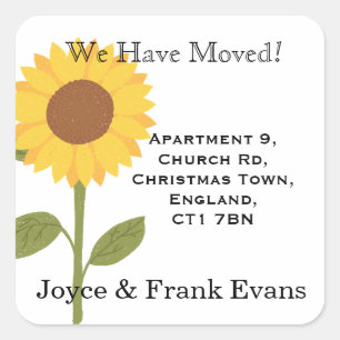 Sonnenblumenwechsel von Adressenaufklebern Quadratischer Aufkleber