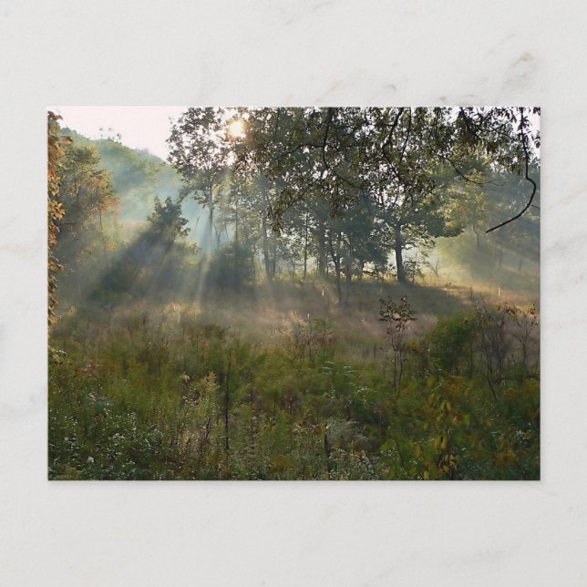 Sonnenbrand 07 postkarte (Vorderseite)