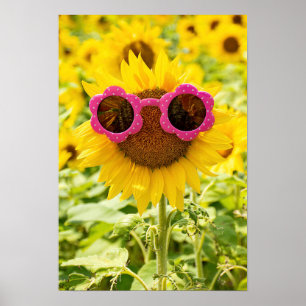 Sonnenbrille auf Sonnenblumen Poster