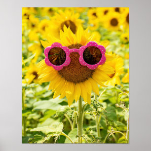 Sonnenbrille auf Sonnenblumen Poster