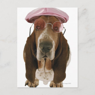 Sonnenbrille und Sockel als Basset Postkarte