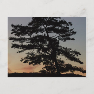 Sonnencreme Postkarte