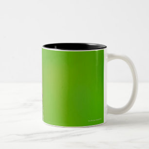 Sonnendurchbruch über dem kleinen zweifarbige tasse