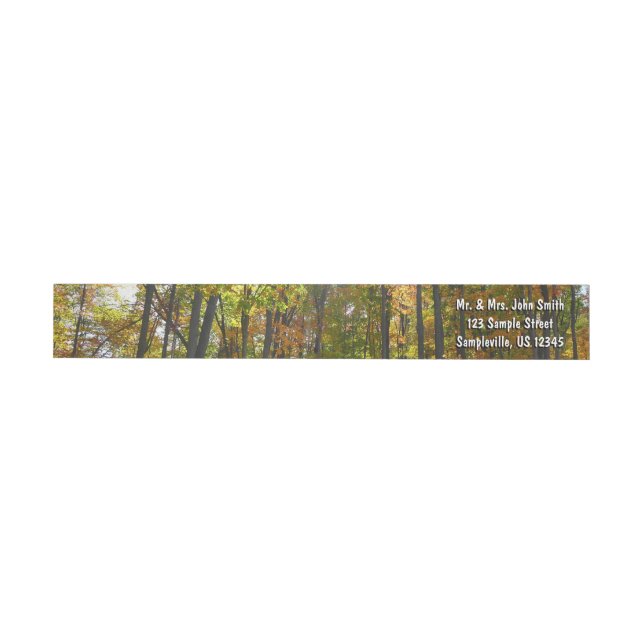 Sonnendurchflutete Herbstlandschaft (Person)