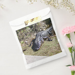 Sonnendurchfluteter Alligator auf dem Gras der Eve Geschenktütchen