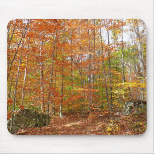 Sonnendurchfluteter Herbstweg im Laurel Hill Park Mousepad